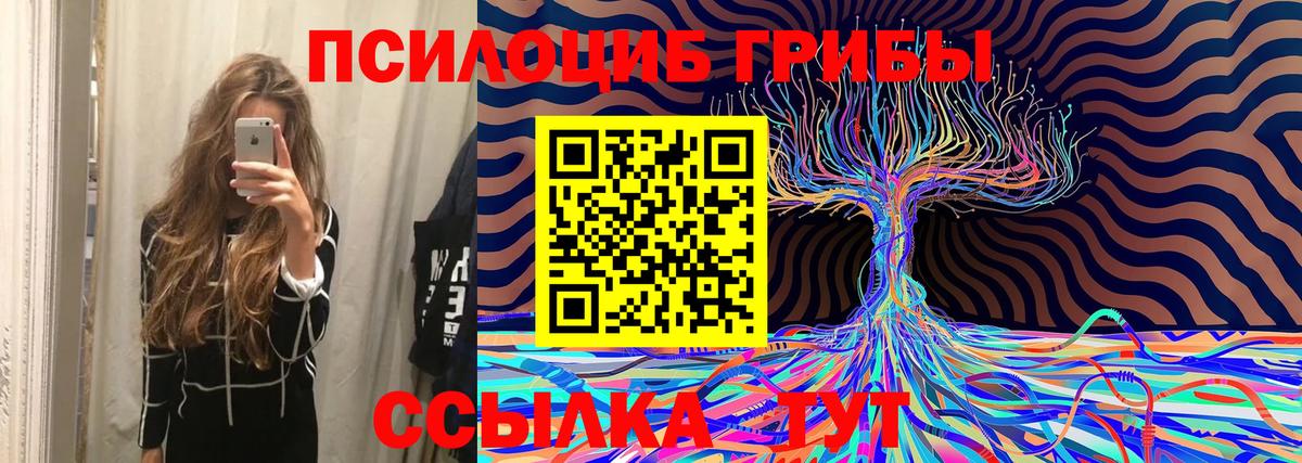 Псилоцибиновые грибы мухоморы  Вход с VPN  Костомукша 